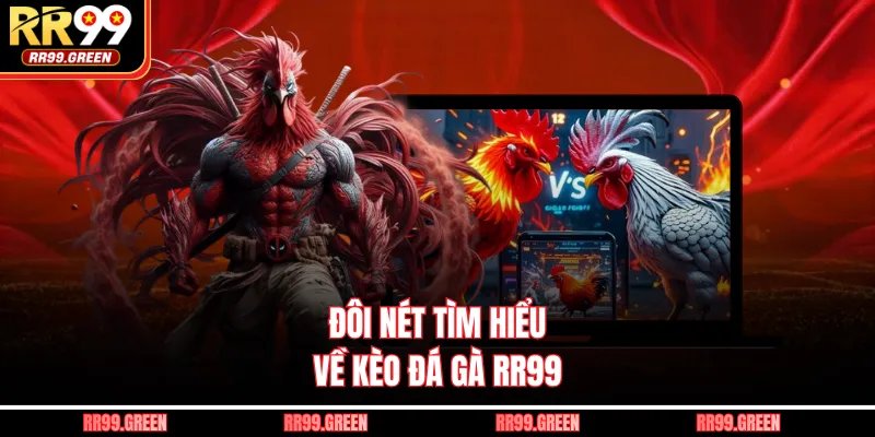 Đôi nét tìm hiểu về kèo đá gà RR99